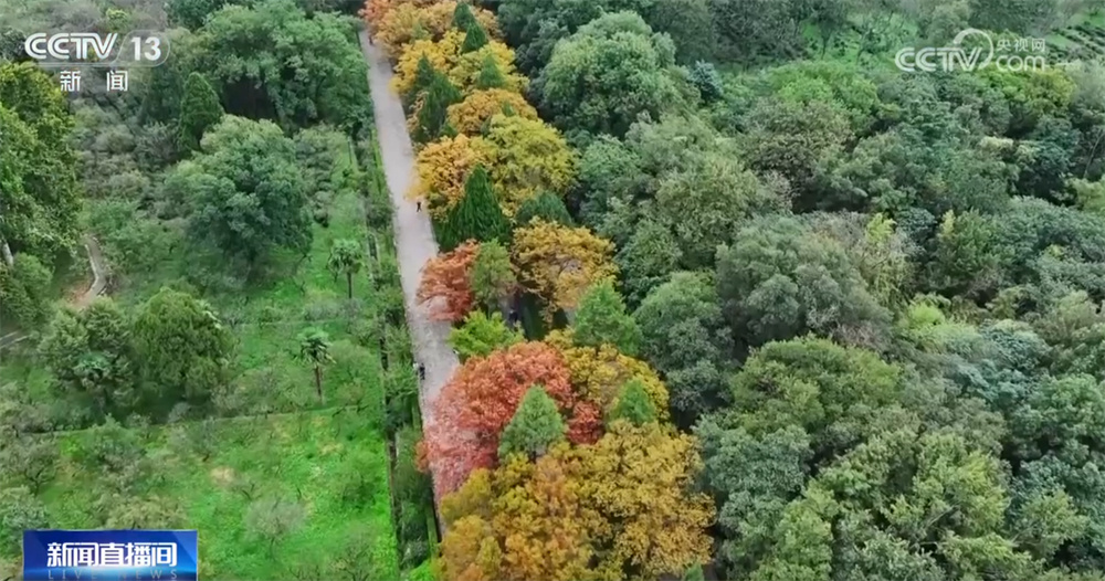 五彩斑斓意，层林尽染秋！锦绣山河美 赏秋正当时