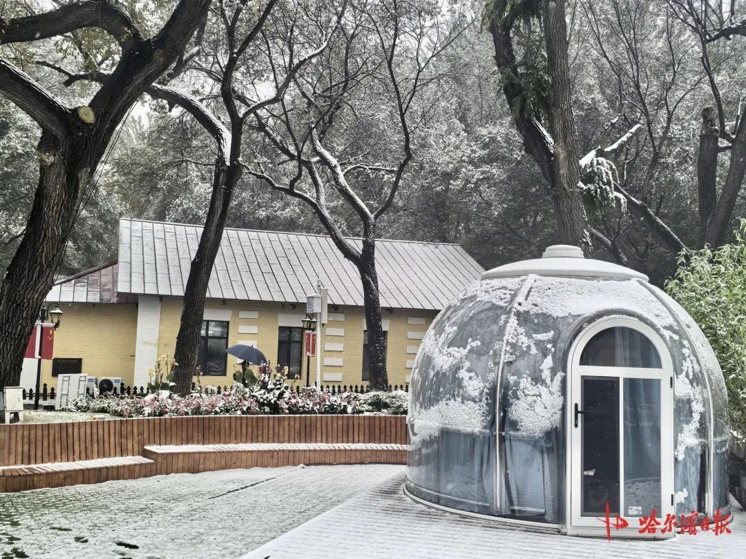 初雪邂逅百年老建筑， “黄房子”美成童话