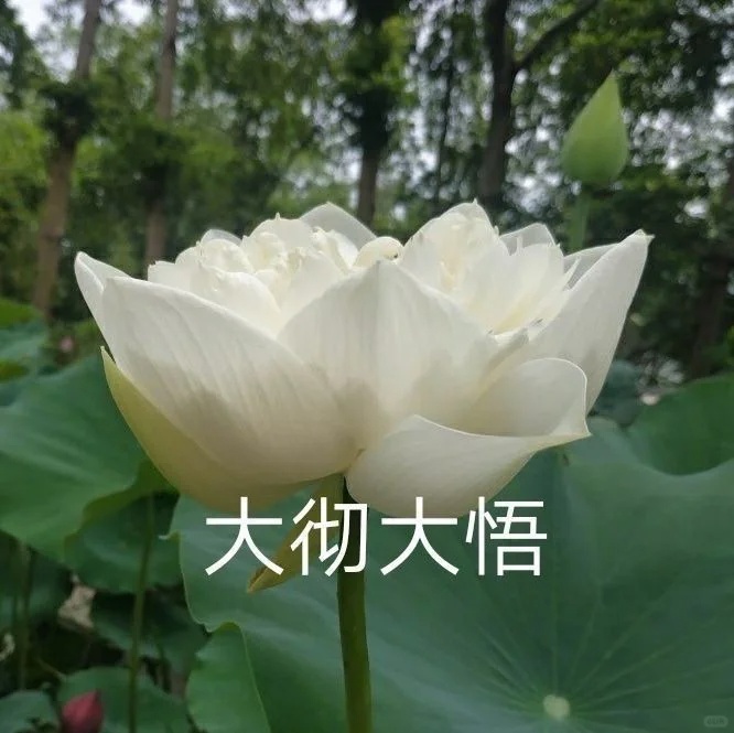 拐咯!一声巨响,她直呼“家都不想要了”!这种崩溃只有贵州人懂 拐咯!一声巨响,她直呼“家都不想要了”!这种崩溃只有贵州人懂