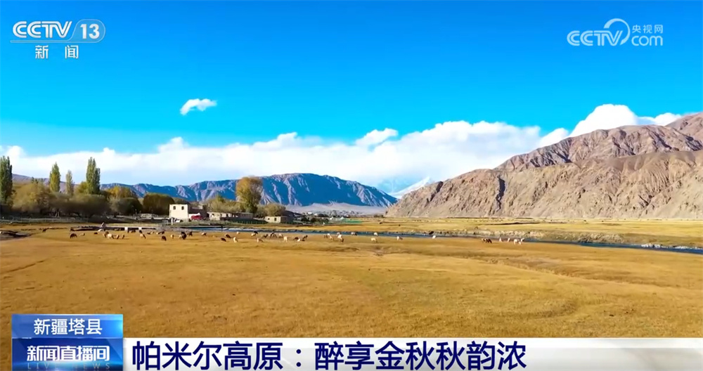 五彩斑斓意，层林尽染秋！锦绣山河美 赏秋正当时