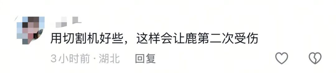 揪心！动物园长颈鹿头被折成90°！下一幕全网热议园方回应