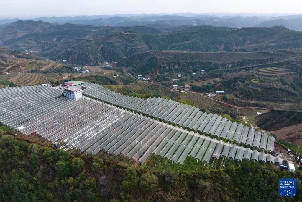 陕西延安：黄土高原迎来收获季