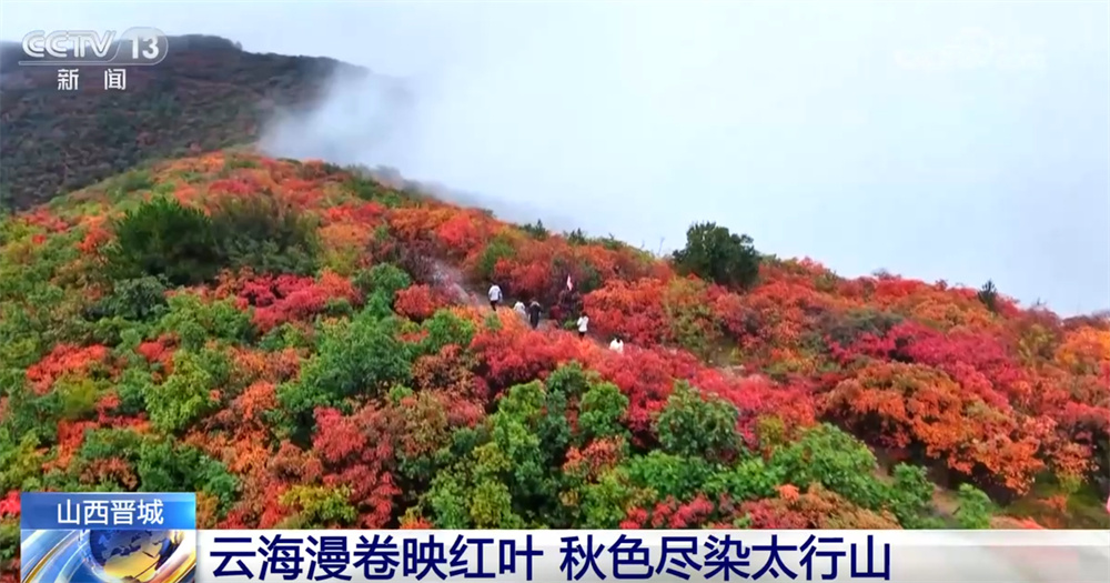 五彩斑斓意，层林尽染秋！锦绣山河美 赏秋正当时