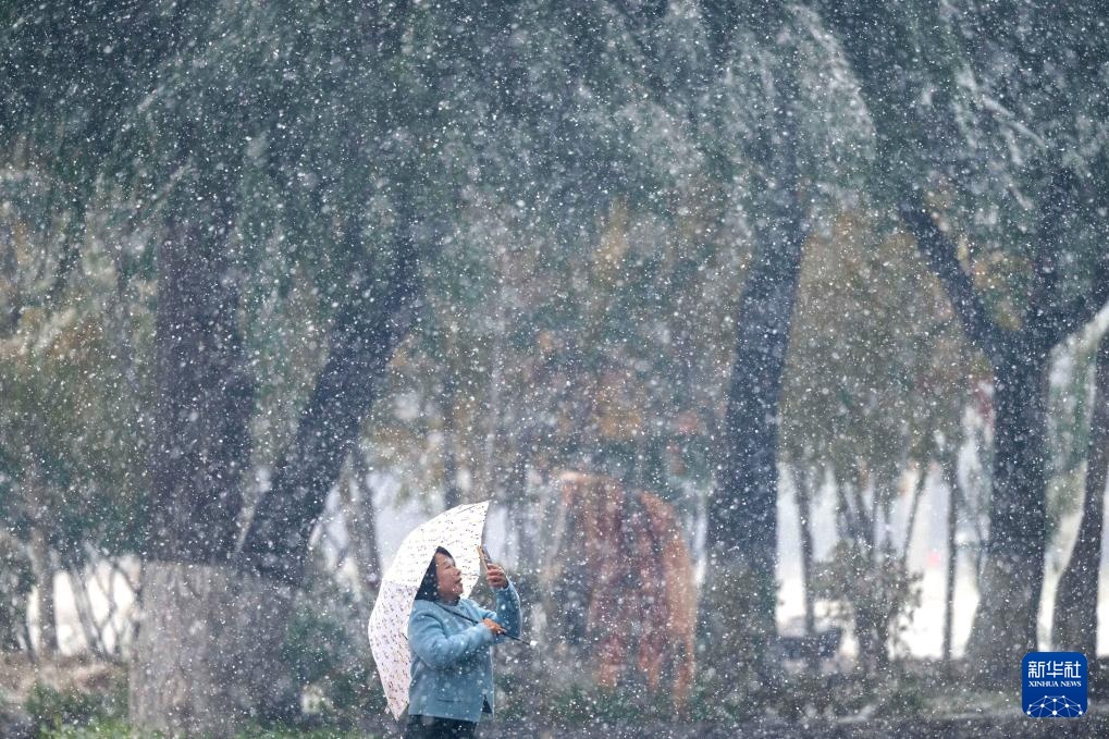黑龙江：雪中即景