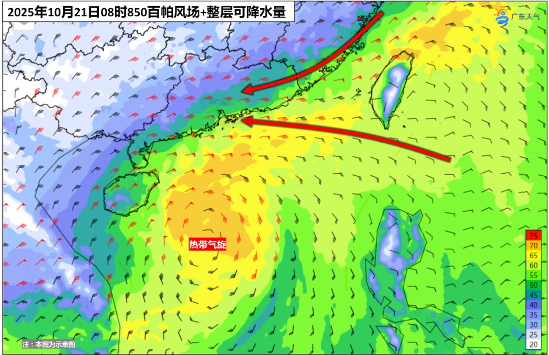 骤降10℃！深圳将迎雷雨、持续大风降温