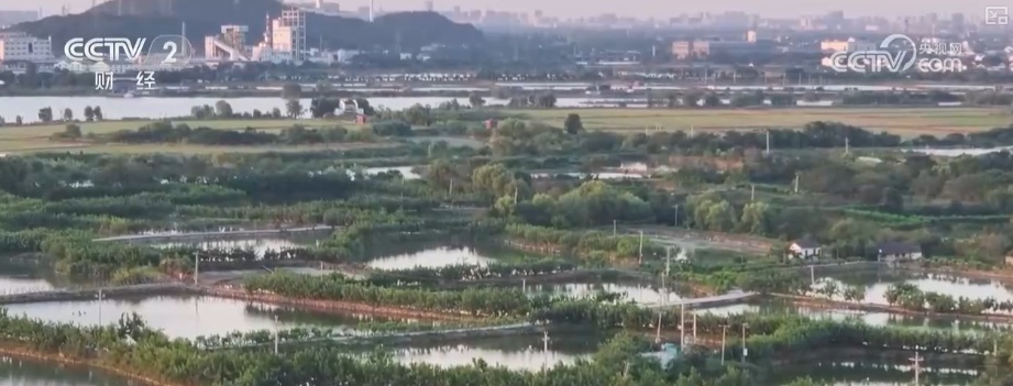 “文化+创新+沉浸体验”，新名片！透视具象化成功案例 看农文旅发展多彩新图景