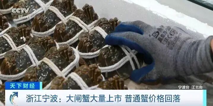 都要穿羽绒服了，大闸蟹还没上市？