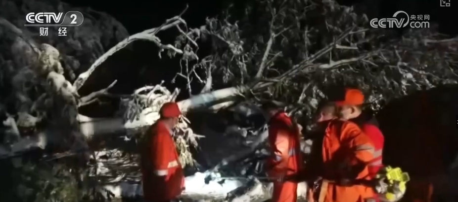 多部门协同细化服务应对“速冻式”降温 全力保障百姓生产生活