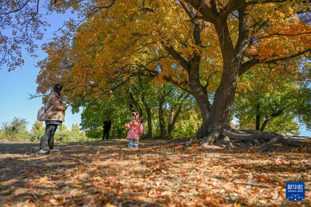 美丽中国丨乌旦塔拉 美如童话 美丽中国丨乌旦塔拉 美如童话