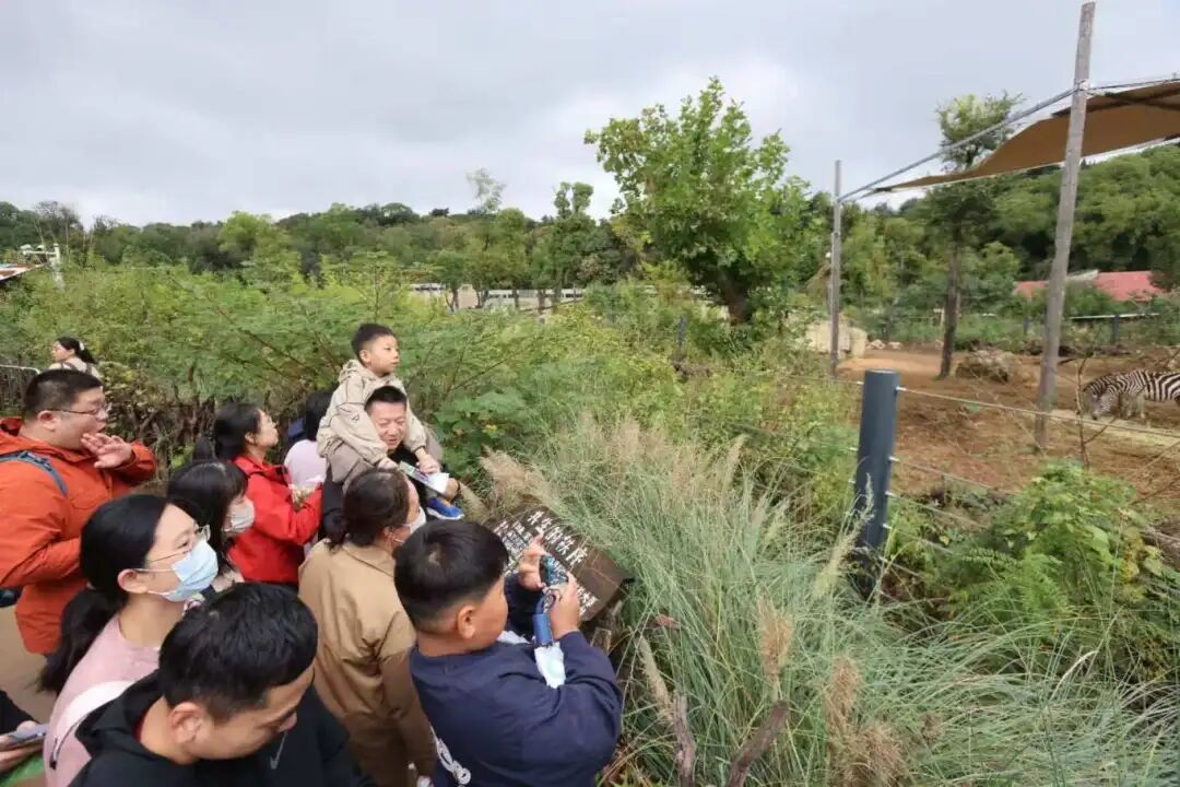 “四巨头”官宣！大批游客冒雨赶来……