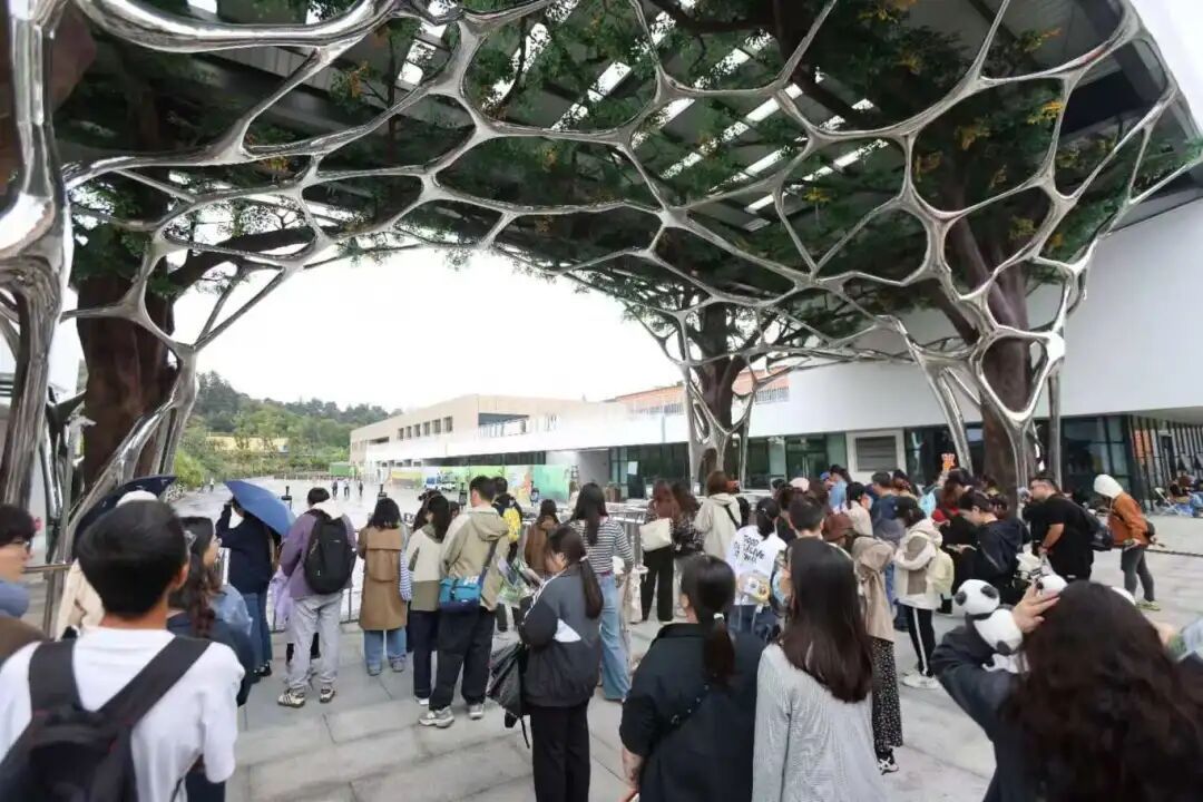 “四巨头”官宣！大批游客冒雨赶来……