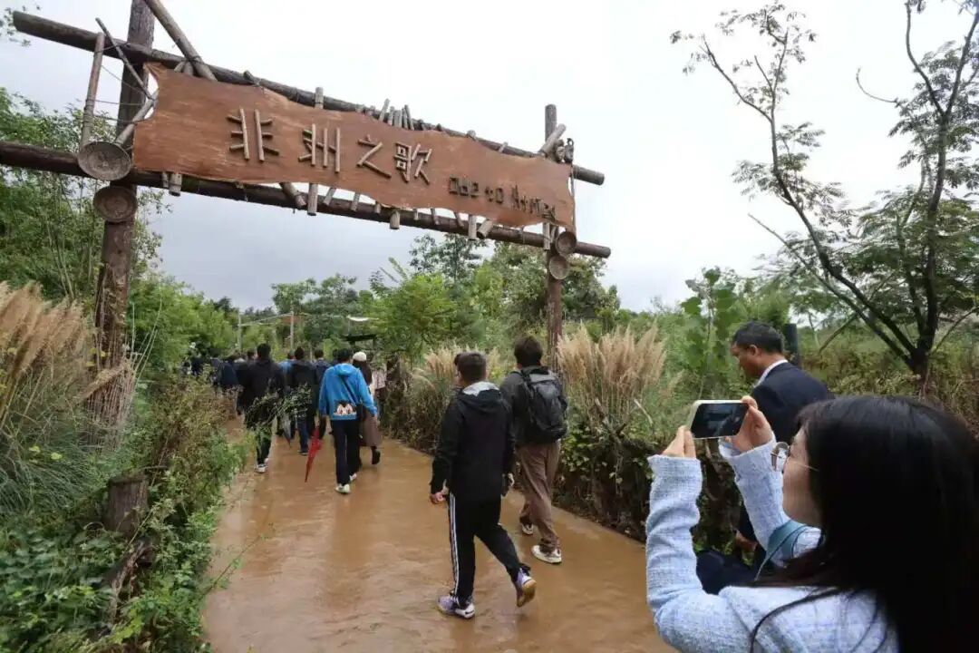 “四巨头”官宣！大批游客冒雨赶来……