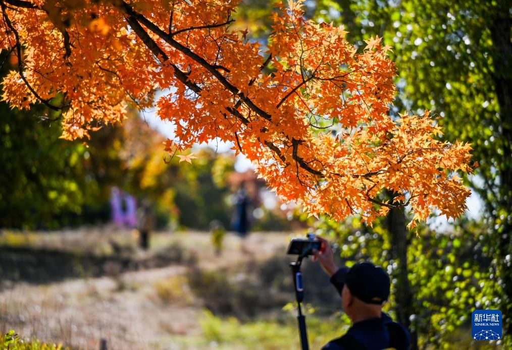 美丽中国丨乌旦塔拉 美如童话 美丽中国丨乌旦塔拉 美如童话
