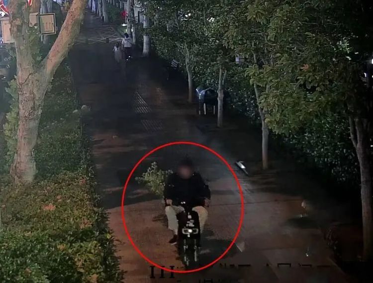 荒唐！孙女爱吃枣，爷爷竟将枣树连根盗挖