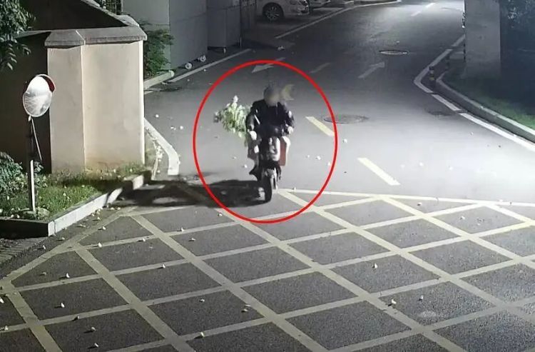 荒唐！孙女爱吃枣，爷爷竟将枣树连根盗挖