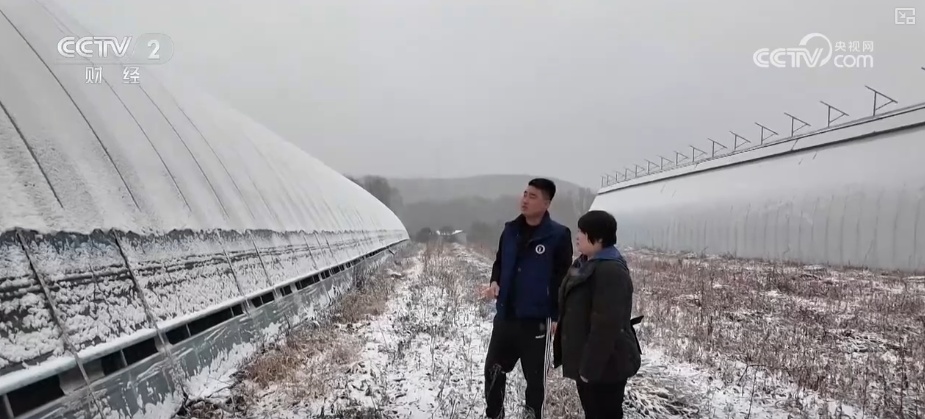 多部门协同细化服务应对“速冻式”降温 全力保障百姓生产生活