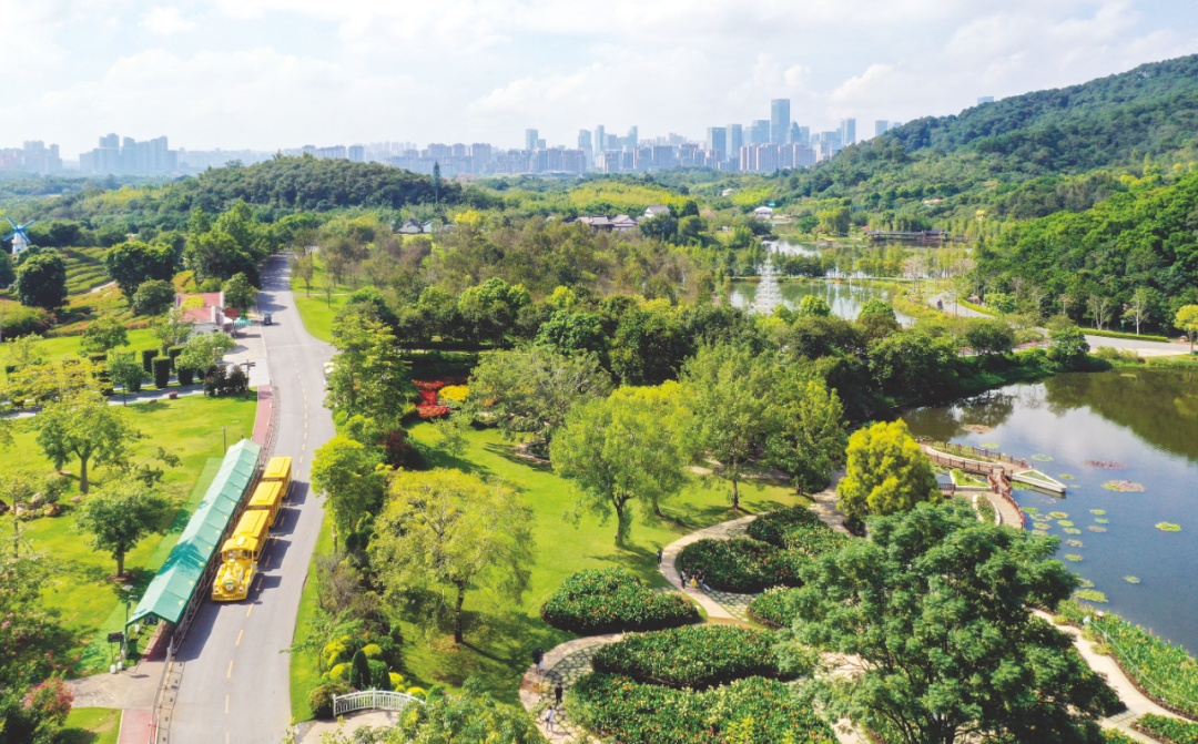 “骑遇南宁” | 秋意漫卷车轮上 一路风景展华姿