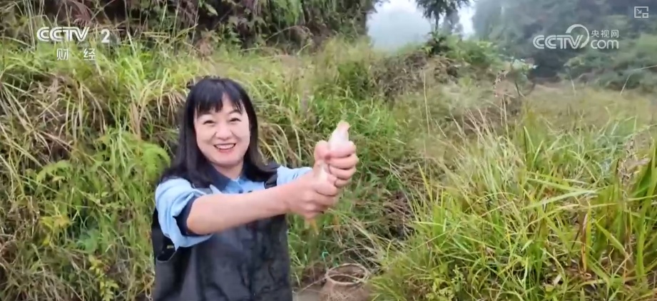 “文化+创新+沉浸体验”，新名片！透视具象化成功案例 看农文旅发展多彩新图景