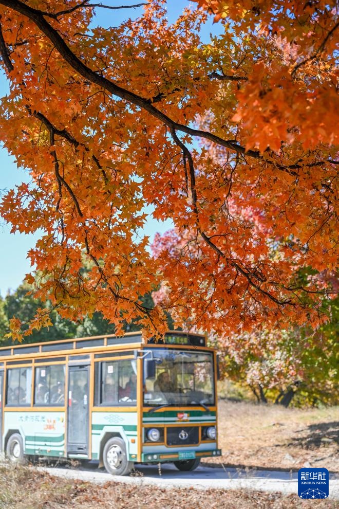 美丽中国丨乌旦塔拉 美如童话 美丽中国丨乌旦塔拉 美如童话