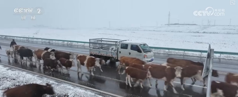 多部门协同细化服务应对“速冻式”降温 全力保障百姓生产生活