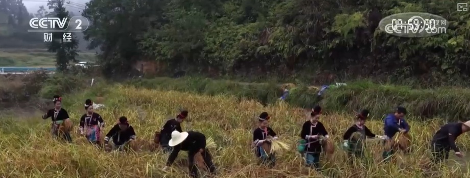 “文化+创新+沉浸体验”，新名片！透视具象化成功案例 看农文旅发展多彩新图景