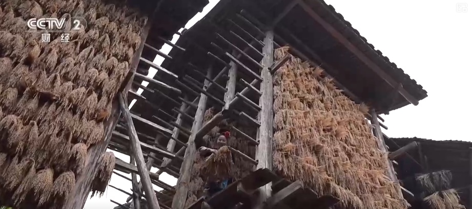 “文化+创新+沉浸体验”，新名片！透视具象化成功案例 看农文旅发展多彩新图景