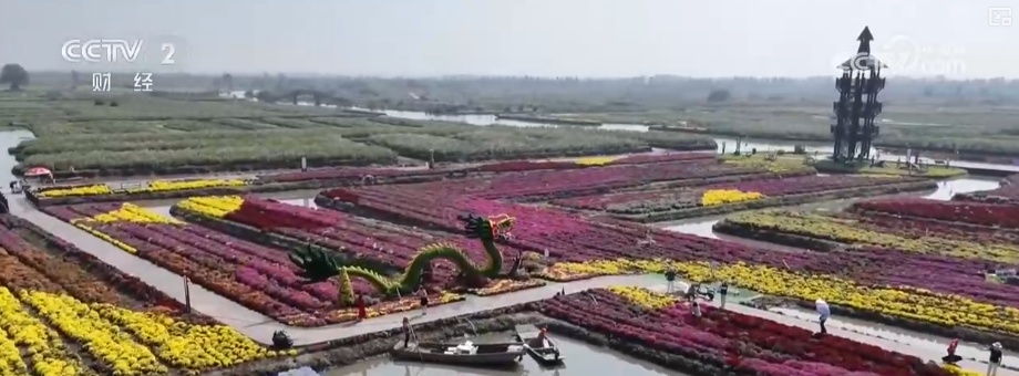 “文化+创新+沉浸体验”，新名片！透视具象化成功案例 看农文旅发展多彩新图景