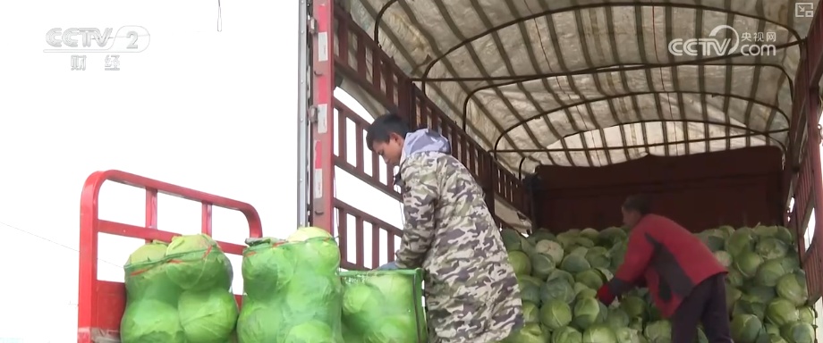 多部门协同细化服务应对“速冻式”降温 全力保障百姓生产生活