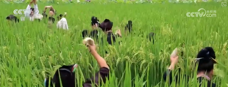 “文化+创新+沉浸体验”，新名片！透视具象化成功案例 看农文旅发展多彩新图景