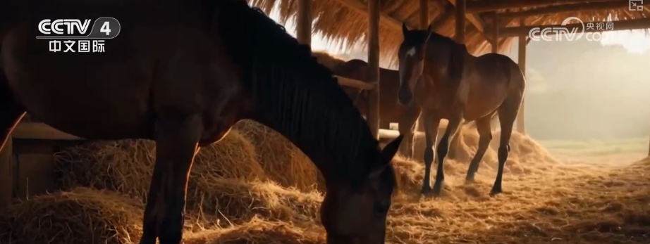 文物活化、非遗传承、文旅融合 多视角感知中华文脉在传承中创新、在开放中焕彩