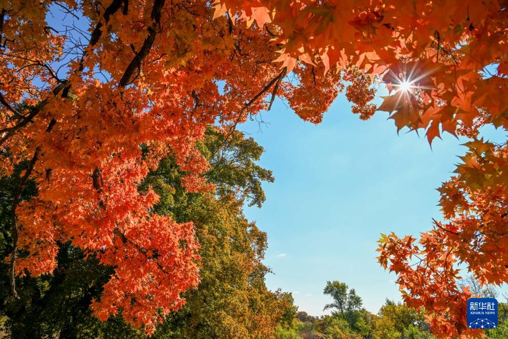 美丽中国丨乌旦塔拉 美如童话 美丽中国丨乌旦塔拉 美如童话