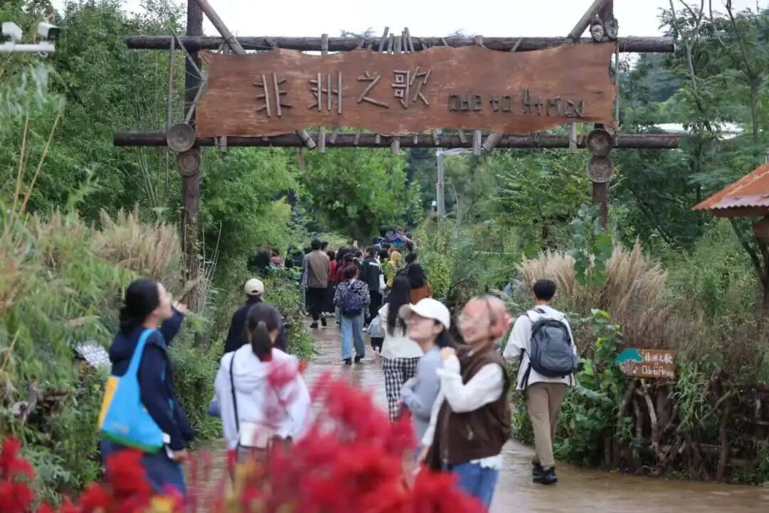 “四巨头”官宣！大批游客冒雨赶来……