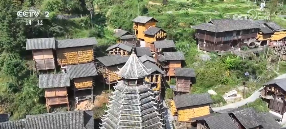 “文化+创新+沉浸体验”，新名片！透视具象化成功案例 看农文旅发展多彩新图景