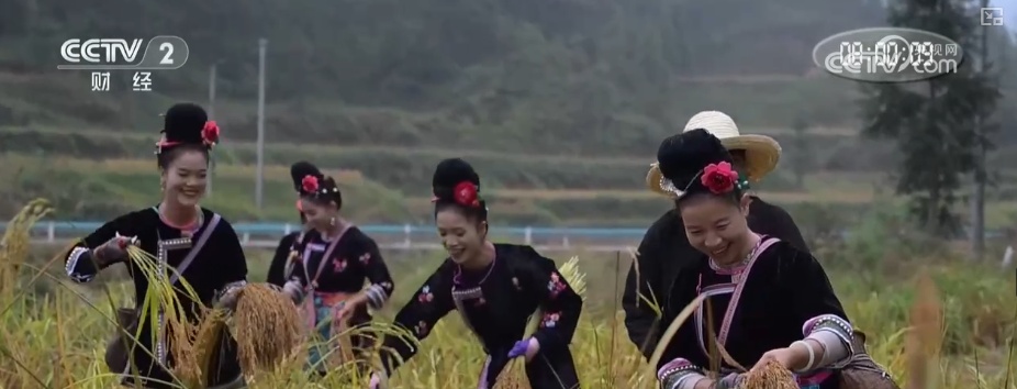 “文化+创新+沉浸体验”，新名片！透视具象化成功案例 看农文旅发展多彩新图景