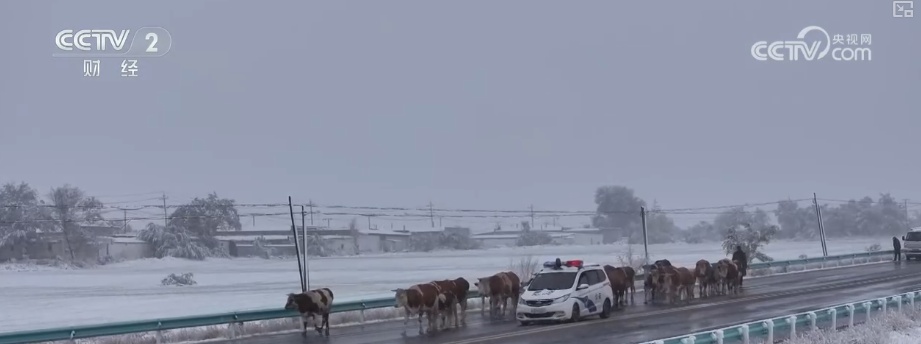 多部门协同细化服务应对“速冻式”降温 全力保障百姓生产生活