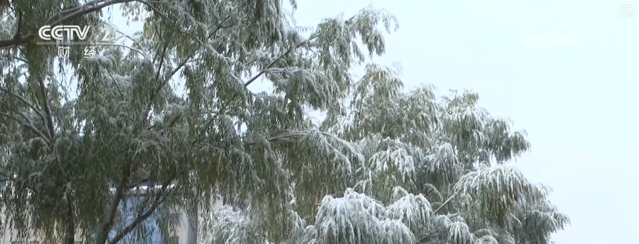 多部门协同细化服务应对“速冻式”降温 全力保障百姓生产生活