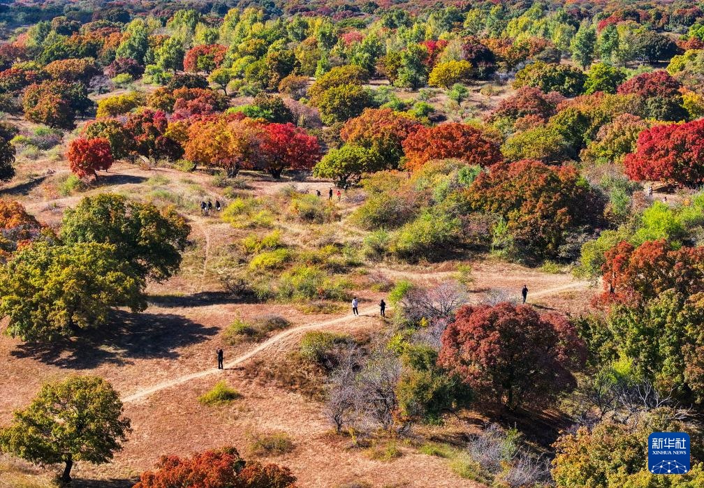 美丽中国丨乌旦塔拉 美如童话 美丽中国丨乌旦塔拉 美如童话