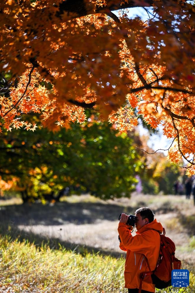 美丽中国丨乌旦塔拉 美如童话 美丽中国丨乌旦塔拉 美如童话