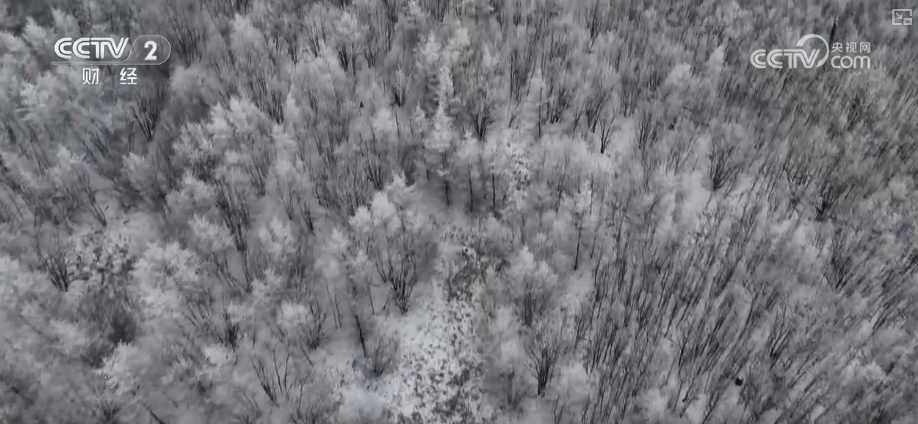 多部门协同细化服务应对“速冻式”降温 全力保障百姓生产生活