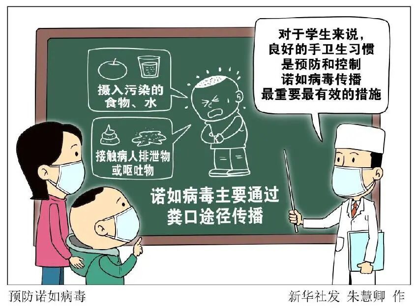 呕吐腹泻，山东一学校超400人就诊，这种病毒尚无特效药