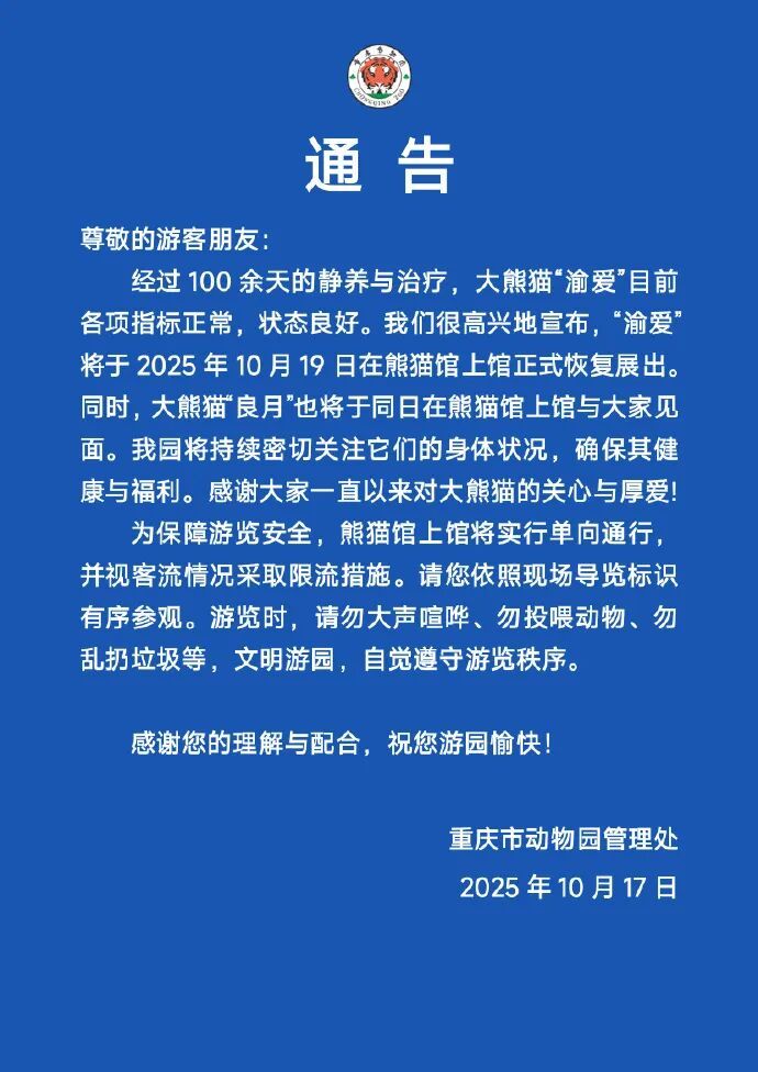 “顶流”回归!正式官宣~ “顶流”回归!正式官宣~