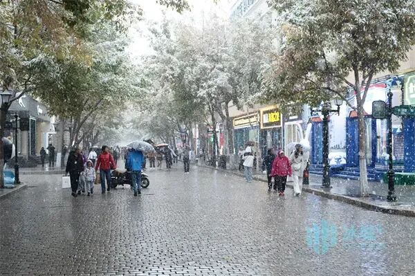 浪漫满分!冰城风雪漫卷,夜间气温较低 浪漫满分!冰城风雪漫卷,夜间气温较低