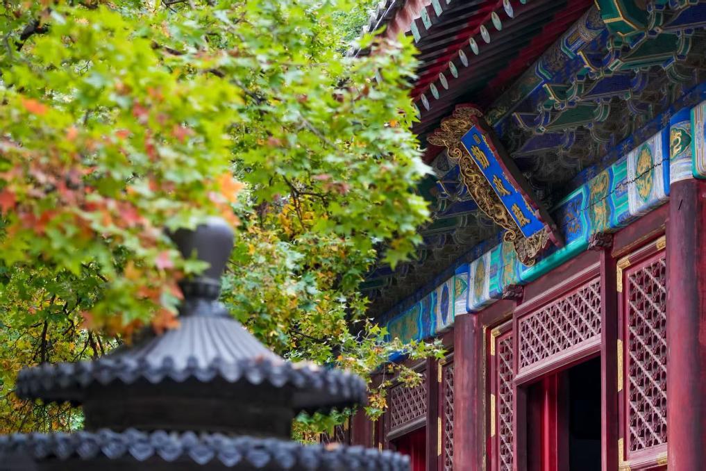 秋色宜人 北京香山红叶将迎最佳观赏期