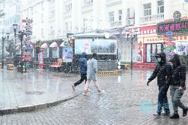 浪漫满分!冰城风雪漫卷,夜间气温较低 浪漫满分!冰城风雪漫卷,夜间气温较低