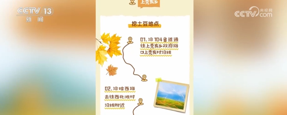 赏秋、捡秋点亮秋日文旅 别样新体验助力旅游市场持续火热 赏秋、捡秋点亮秋日文旅 别样新体验助力旅游市场持续火热