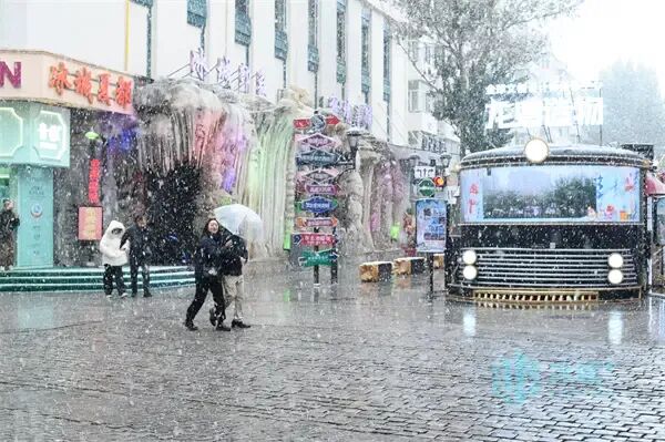 浪漫满分!冰城风雪漫卷,夜间气温较低 浪漫满分!冰城风雪漫卷,夜间气温较低