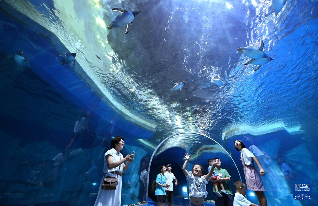 海南陵水:惬意错峰游 海南陵水:惬意错峰游