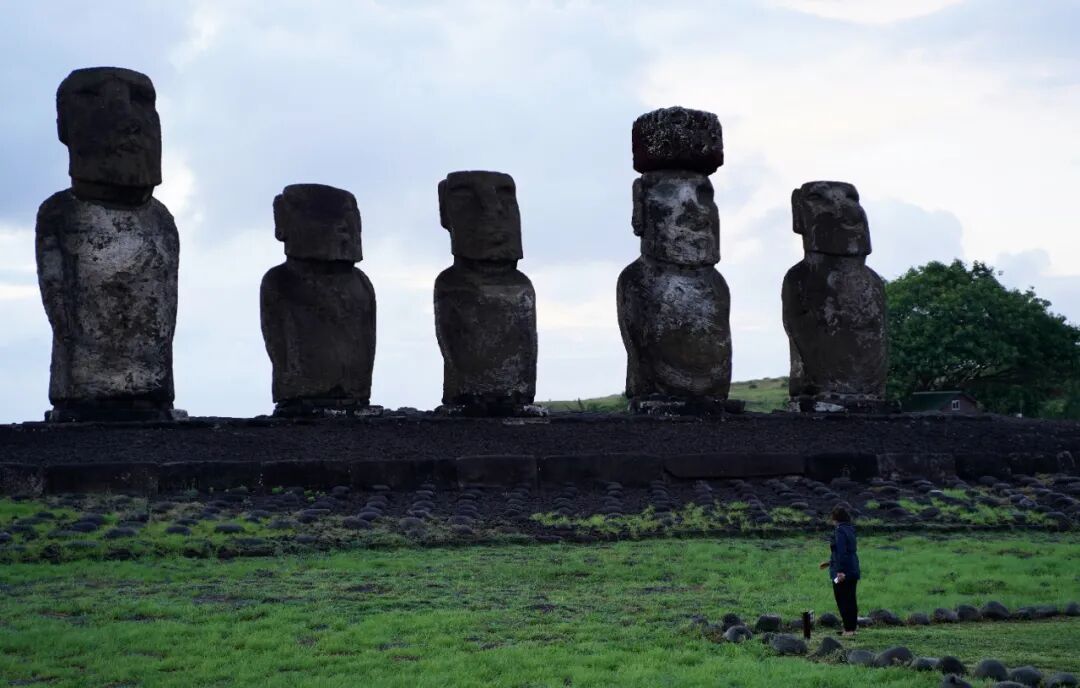 这个未解之谜,终于有了解释 这个未解之谜,终于有了解释