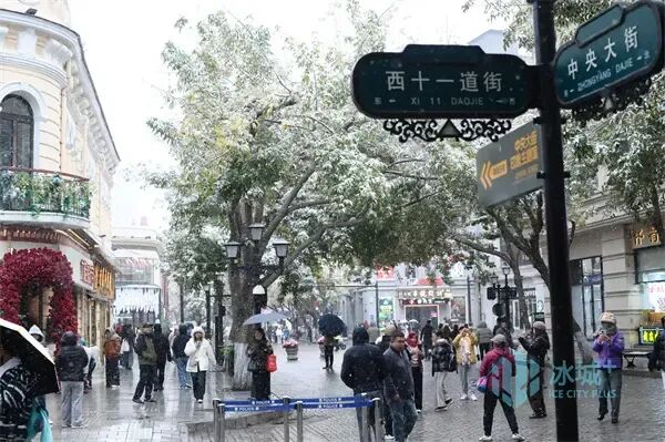 浪漫满分!冰城风雪漫卷,夜间气温较低 浪漫满分!冰城风雪漫卷,夜间气温较低