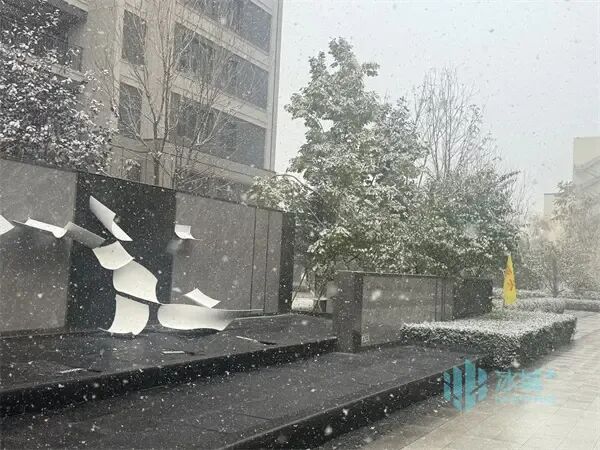 浪漫满分!冰城风雪漫卷,夜间气温较低 浪漫满分!冰城风雪漫卷,夜间气温较低